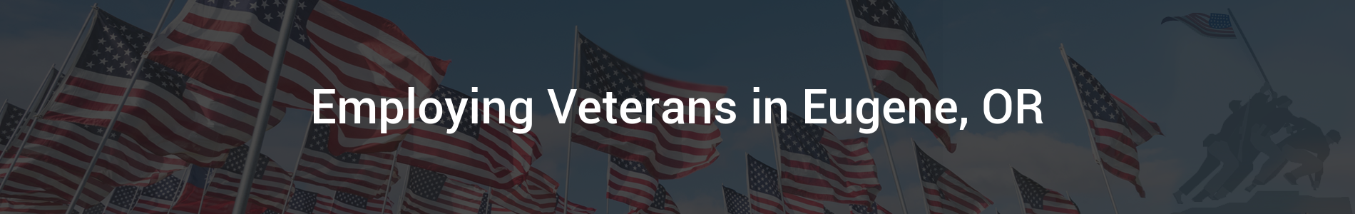 Employing Veterans - Internal Banner